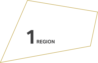 1REGION