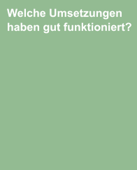 Welche Umsetzungen haben gut funktioniert? Warum haben sie funktioniert? Welche Faktoren haben die Umsetzung begünstigt? Möchten wir in Zukunft in diesem Bereich weiter-arbeiten?